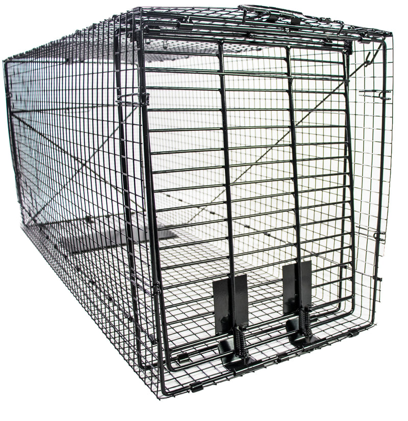 http://backyard-expressions.com/cdn/shop/products/coyote_trap_1_800x.webp?v=1673036703