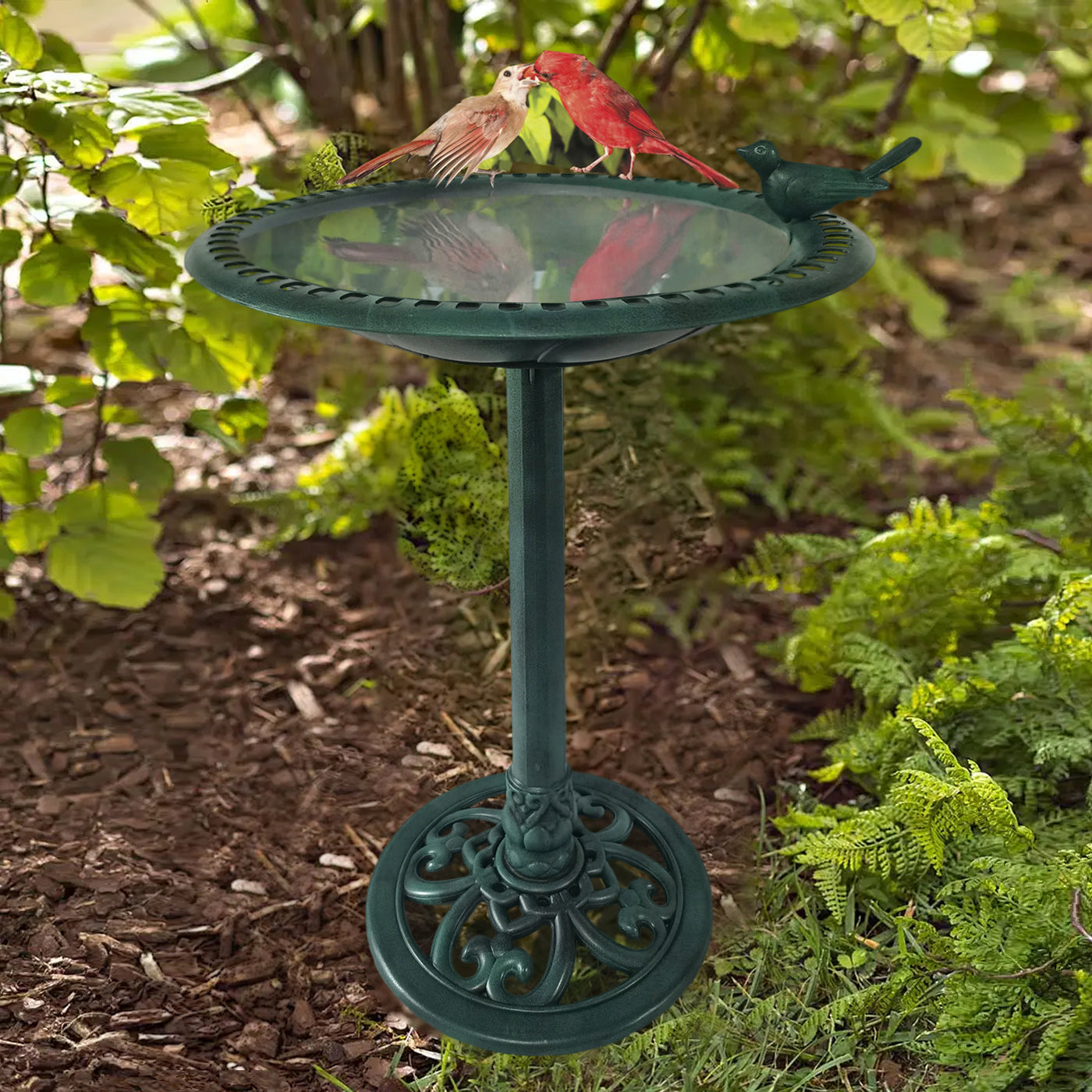 Resin Bird Bath – Backyard Expressions