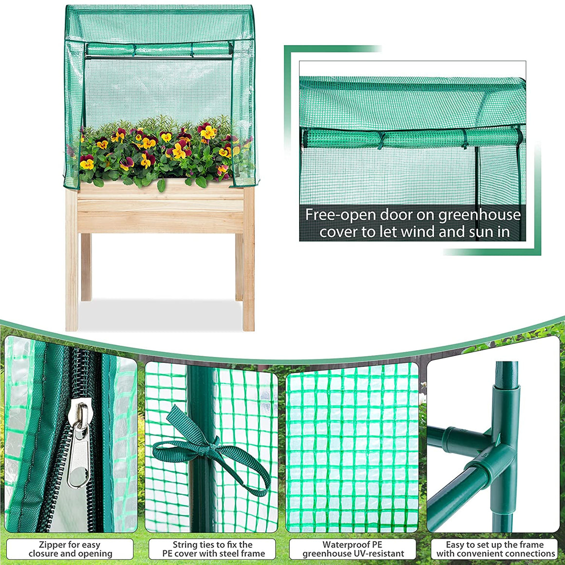 Backyard Expressions