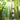 Hanging Tube Bird Feeder
