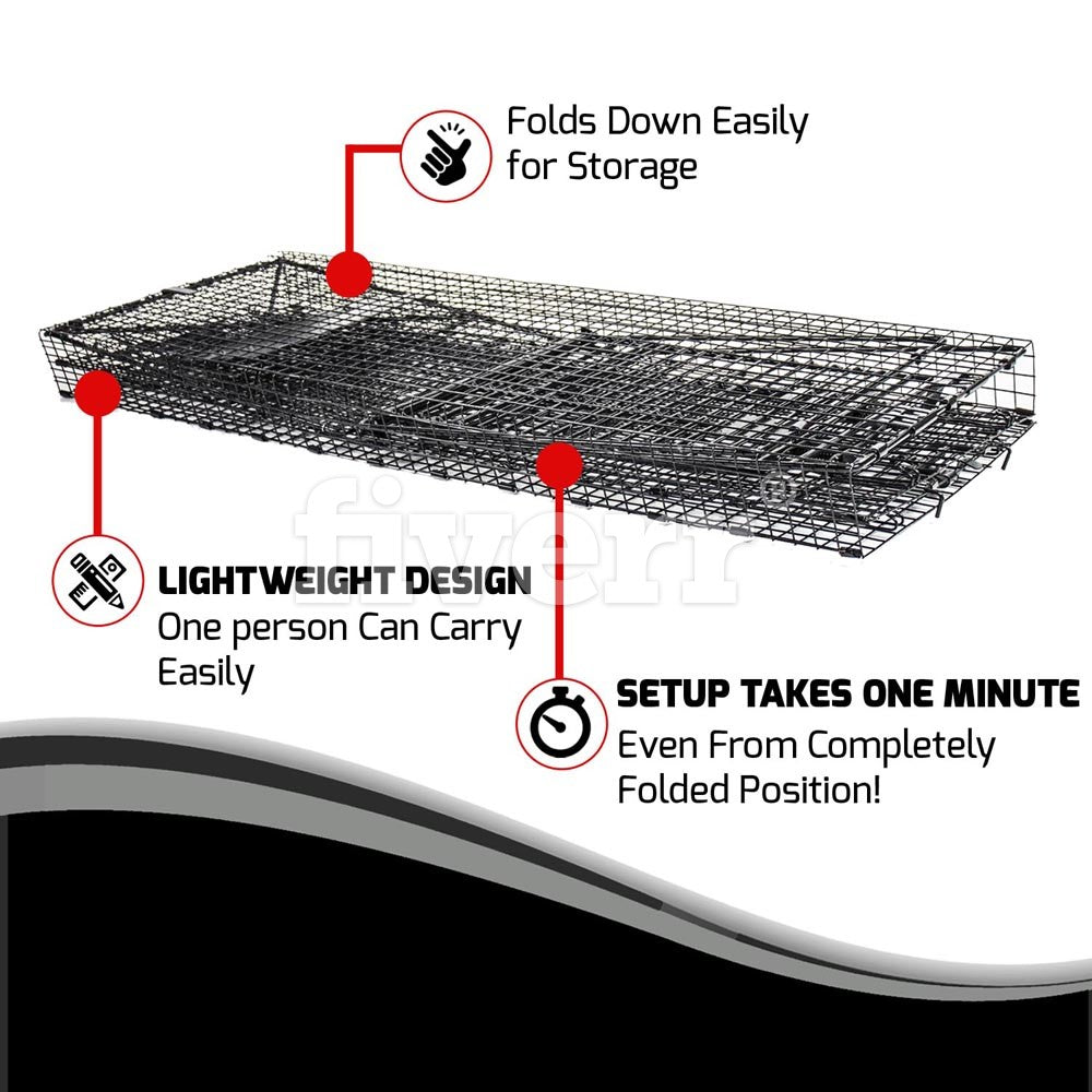 50 Super Size Live Folding Dog Trap