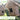 Natural Hanging Birdhouses 2-PK