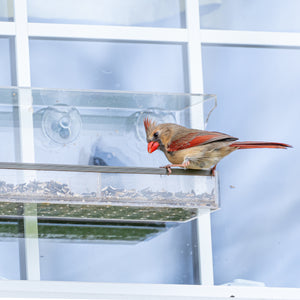 Rectangular Window Bird Feeder