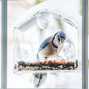 Window Bird Feeder, House Shaped
