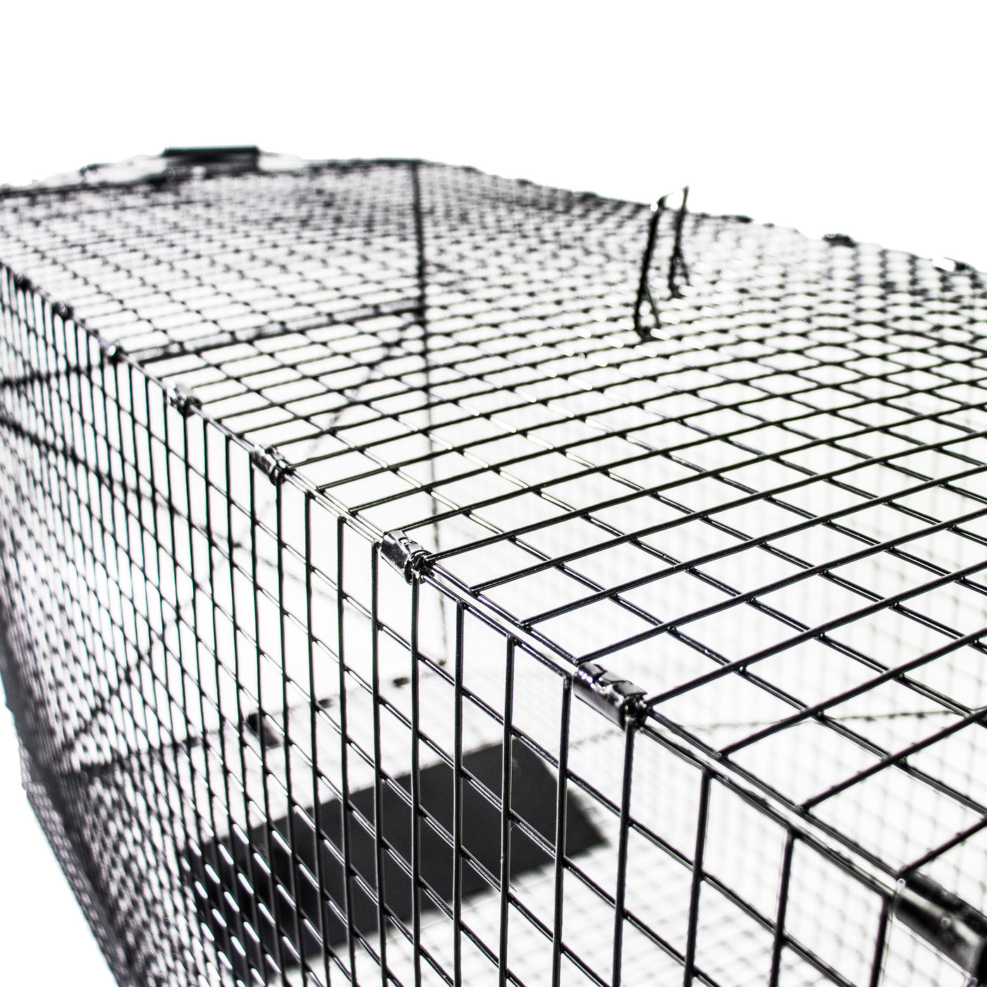 Humane Way Folding 50 Inch Live Humane Animal Trap - Safe Traps for All  Animals - Dogs, Raccoons, Cats, Groundhogs, Opossums, Coyote, Bobcat -  50x20x26 179.48 - Quarter Price
